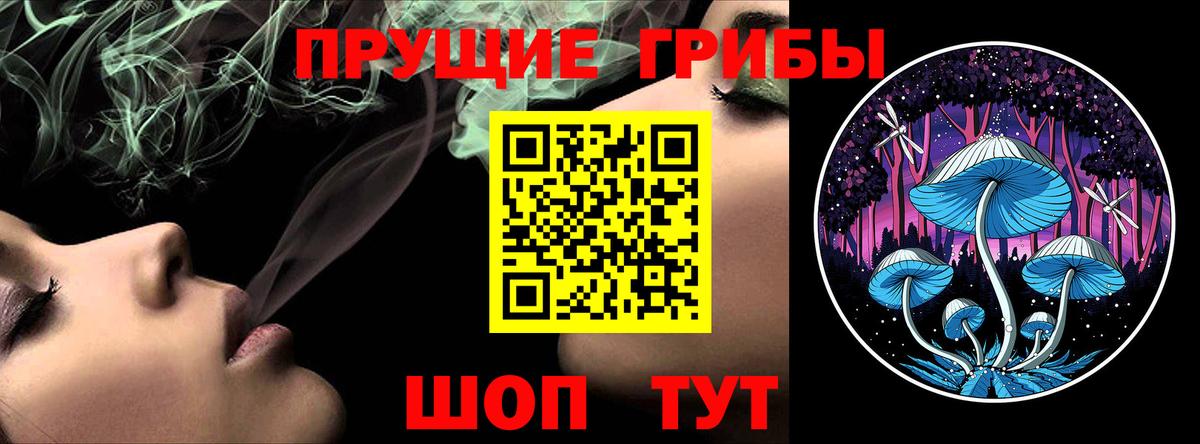Калуга  Галлюциногенные грибы прущие грибы  Вход с VPN 